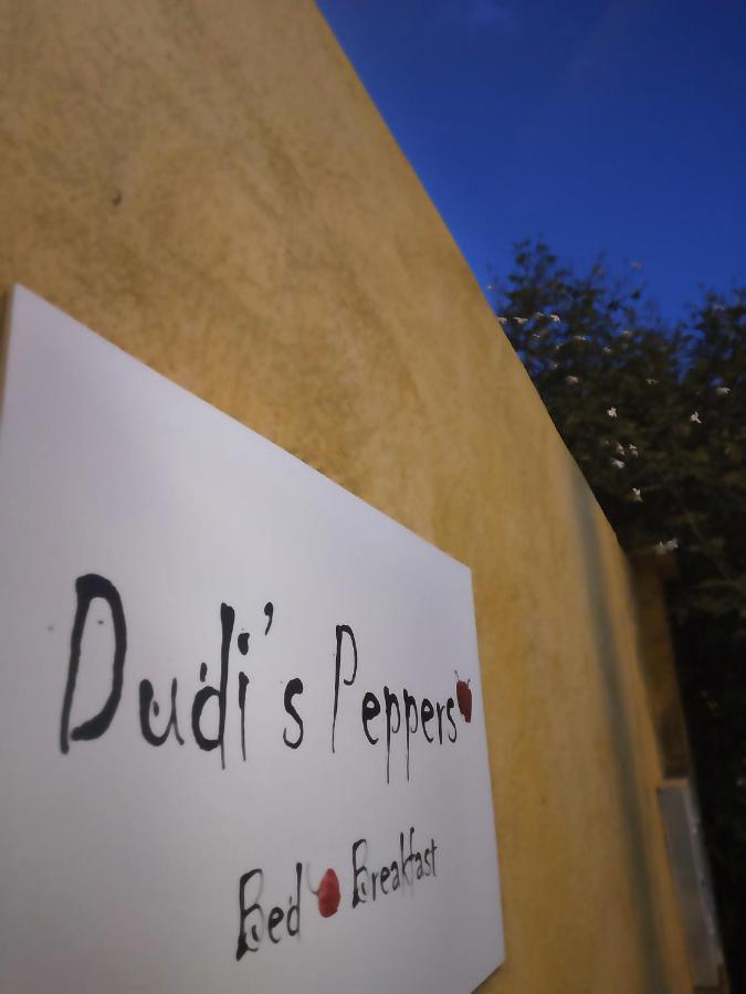 Appartamento Dudi's peppers Málaga Esterno foto